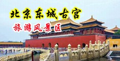 高中生挤奶自慰中国北京-东城古宫旅游风景区